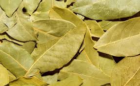 Organic Vegetable Box